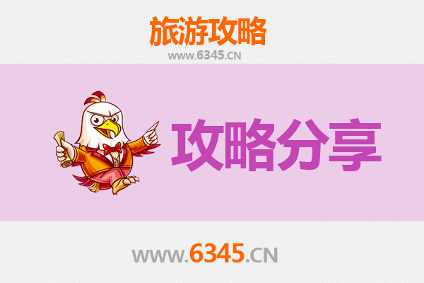 菏泽鄄城至湄洲岛旅游攻略：跟团与自由行深度对比