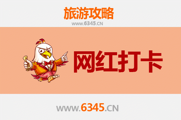 菏泽鄄城网红打卡地全攻略：古韵与自然的诗意邂逅