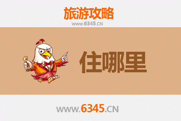 菏泽鄄城旅游民宿攻略：沉浸古风，体验鲁西南慢生活